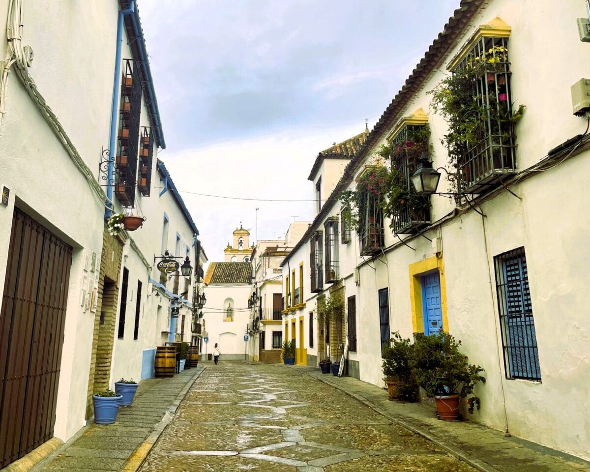Explore the patios of Cordoba
